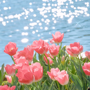 footjobvideo欧美足恋
